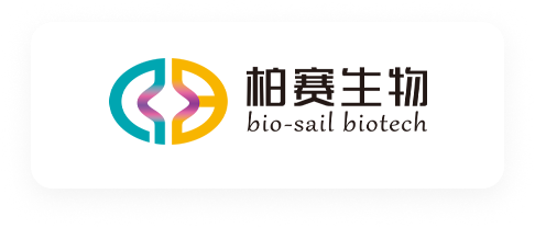 东莞市岚丰信息科技有限公司